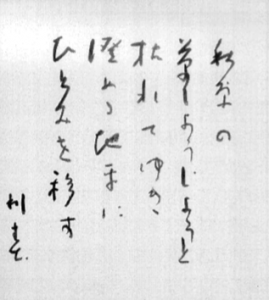 色紙